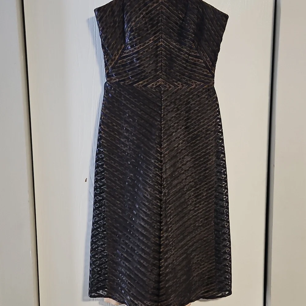 Carmen Marc Valvo Strapless Striped Lace Black Nude Midi Length Formal Dress - Picture 4 of 10